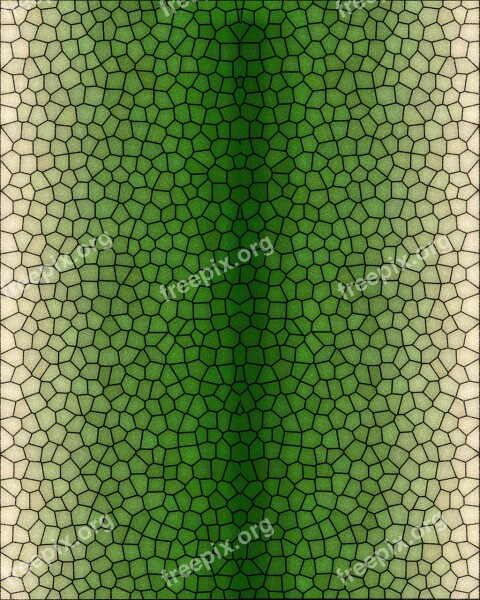 Pattern Reptile Serpent Design Snakeskin