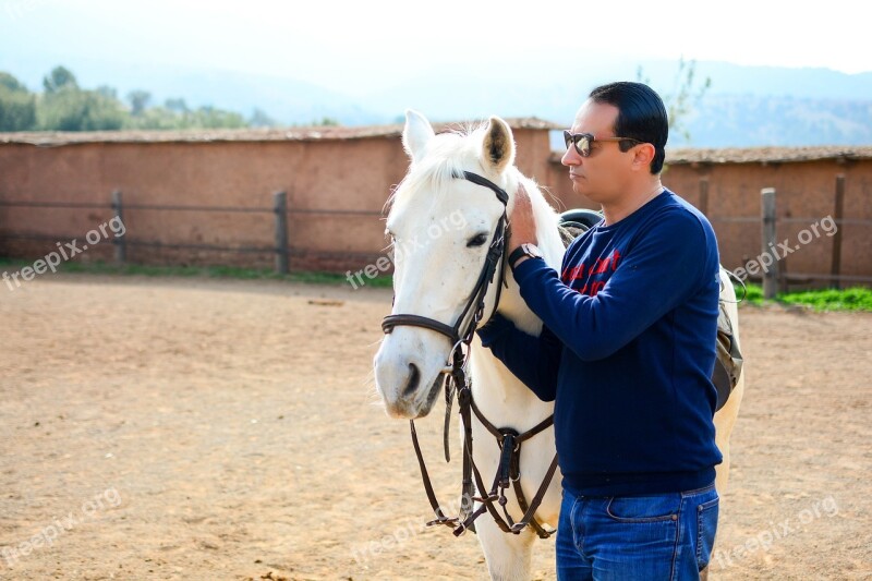 Horse Atlas Mountains Countryside White Fur