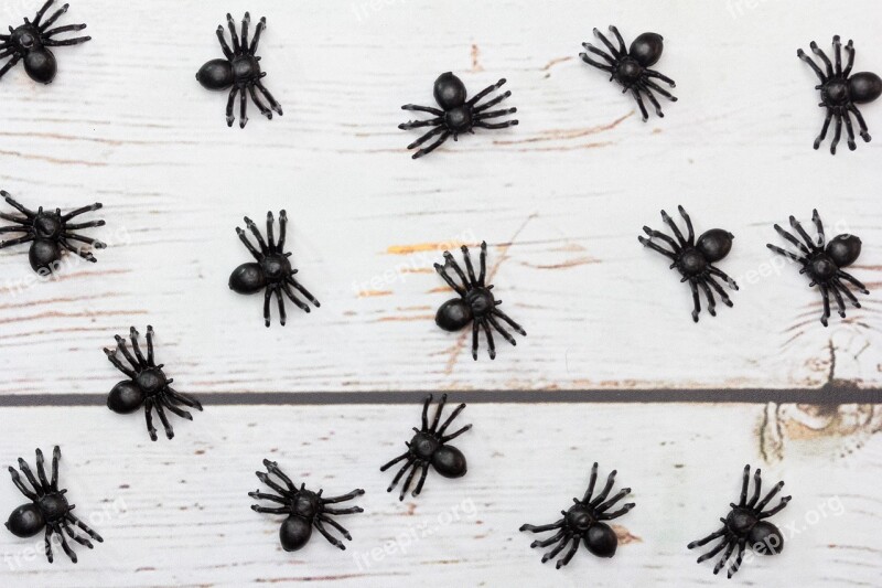 Spiders Plastic Toy Black Plague