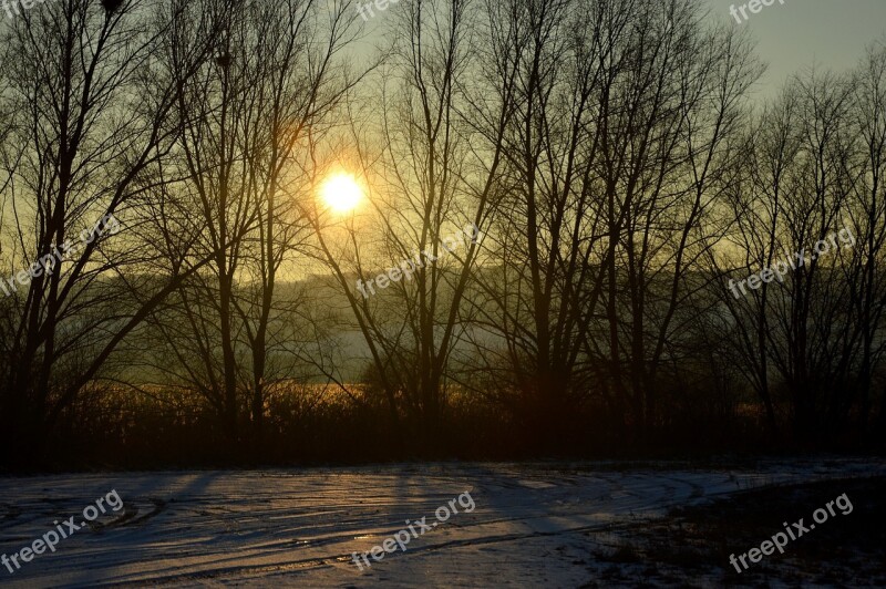 Winter Evening Snow Landscape Lake