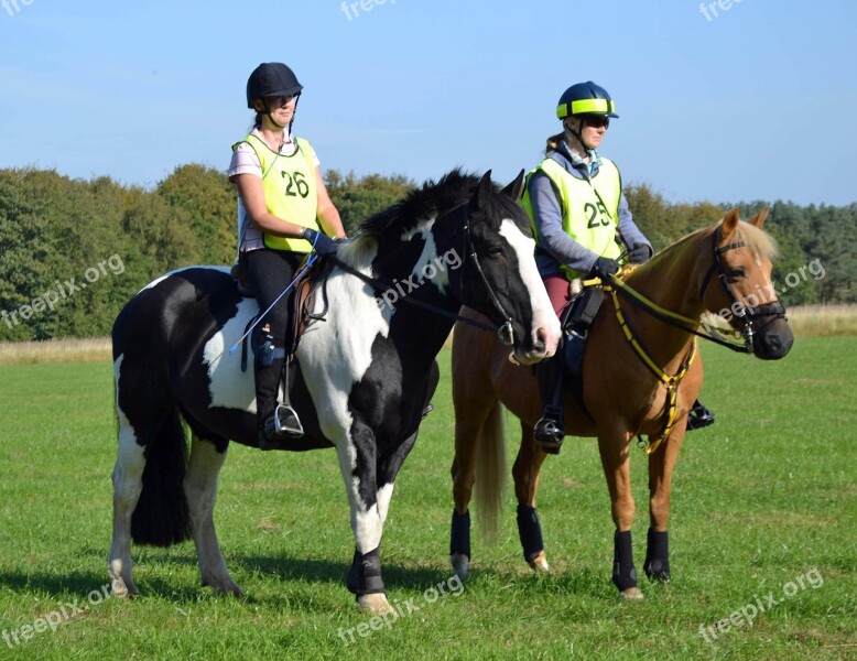 Horse Riding Equestrian Horseback Outdoors