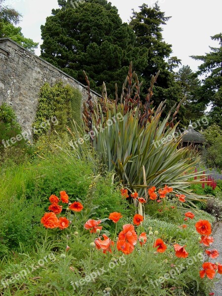 Bodnant Gardens Wales Architectural Plants