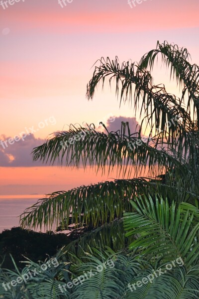 Mahe Sunset Seychelles Sky Palms