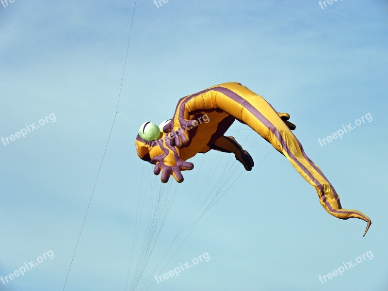 Kite Lizard Kite Flying Kite Free Photos