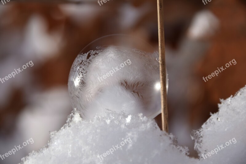 Bubble Soap Bubble Iridescent Winter Snow