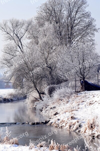 Winter Winter Mood Wintry Snowy Trees