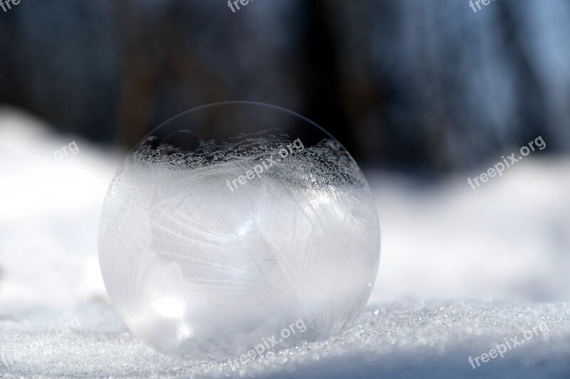 Soap Bubble Frosted Winter Cold Frost