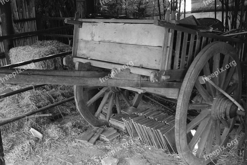 Cart Oxcart Horse Drawn Carriage Wagon Transportation