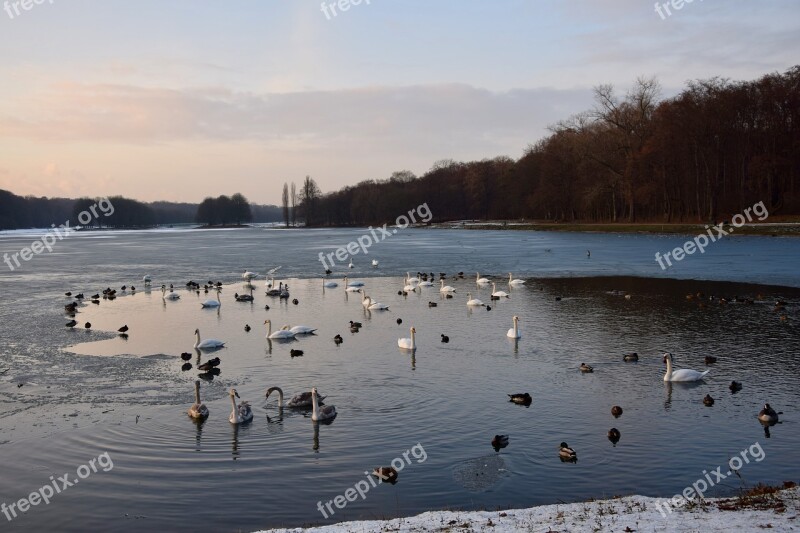 Wintry Season Frozen Lake Sunset Winter