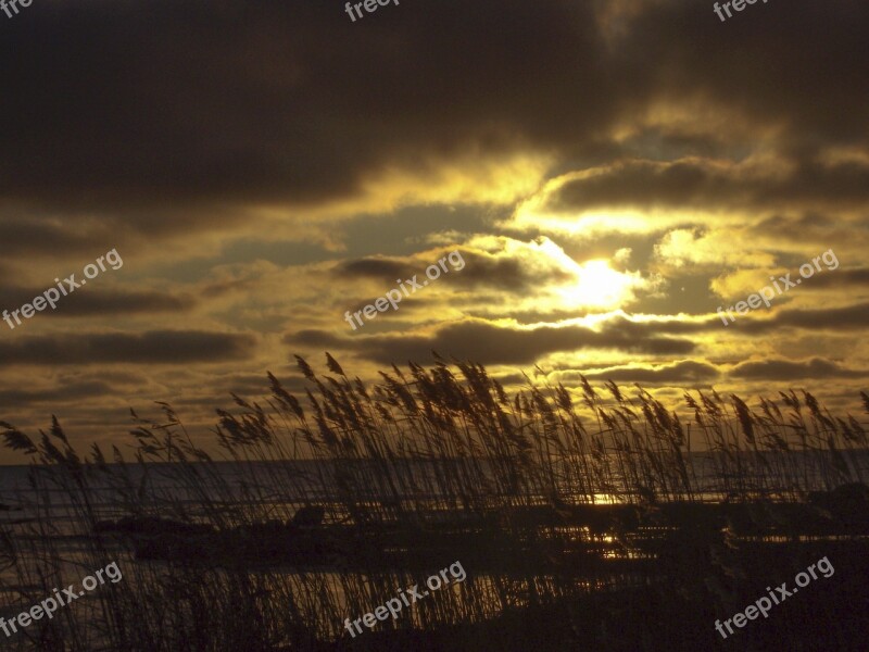 Gotland Autumn Sea Free Photos