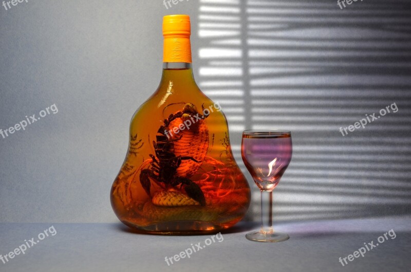 Tincture Vodka Scorpion Glass Snake