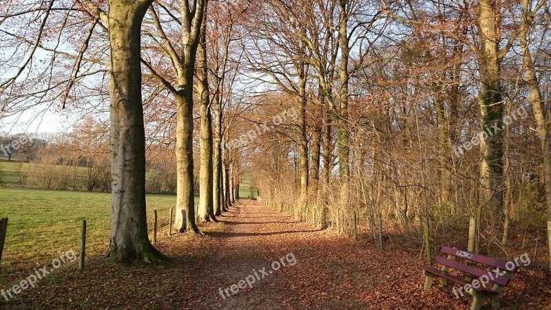 Landscape Nature South Limburg Limburg Autumn