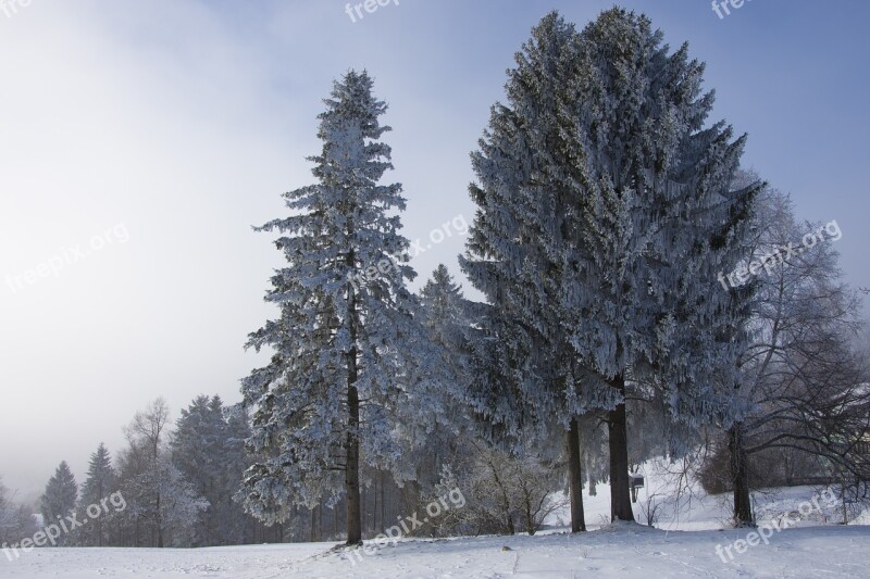 Winter Frozen Wintry Cold Landscape