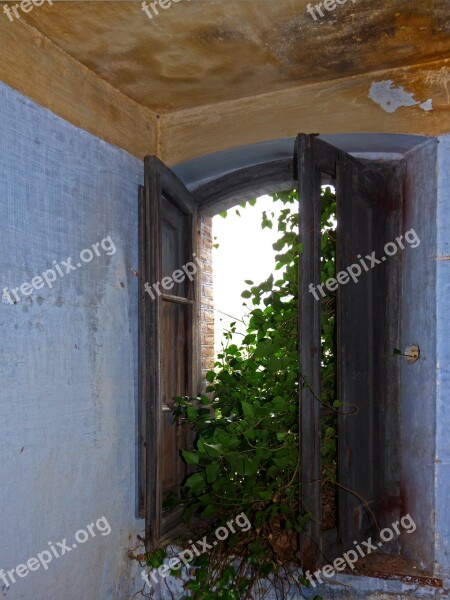 Window Abandoned Old Vegetation Ivy