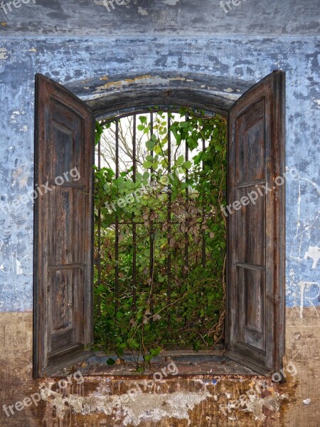 Window Ruin Abandoned Balusters Vegetation