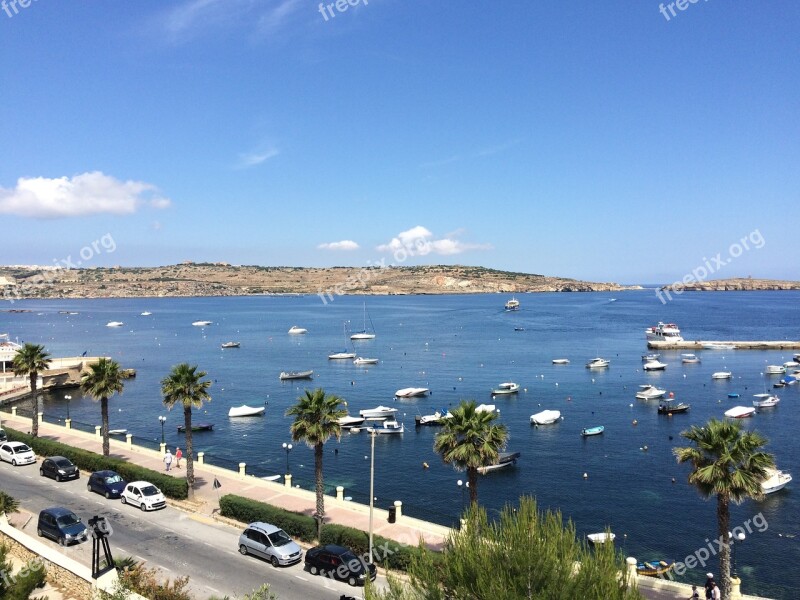 Malta Sea Palm Trees Summer Holidays