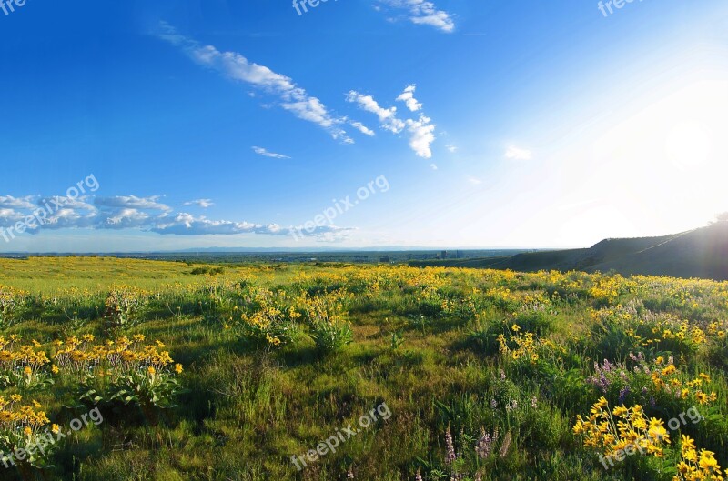 Boise Idaho Spring Free Photos