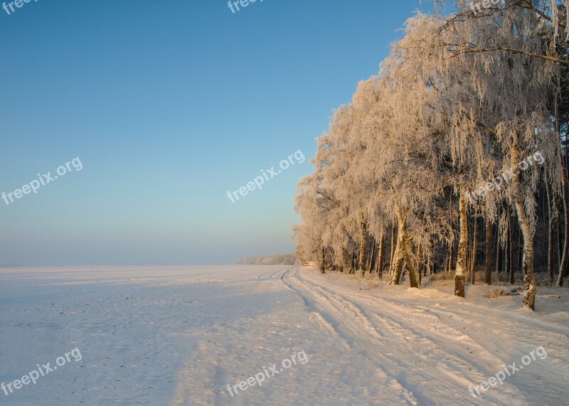 Winter Snow Sunrise Wintry Landscape