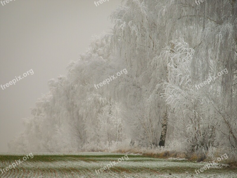 Winter Snow Wintry Landscape Nature