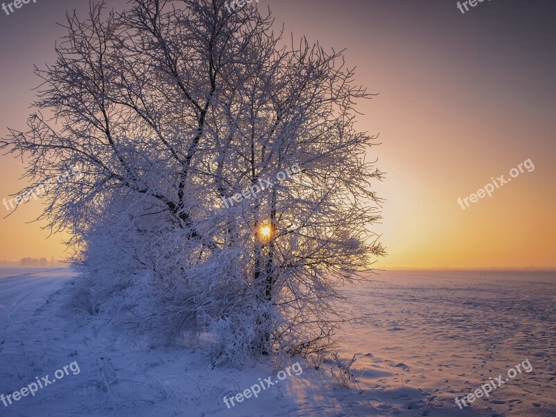 Winter Snow Sunrise Wintry Landscape