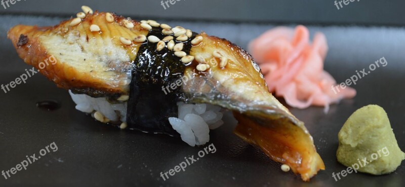 Sushi Eel Japanese Food Rice Wasabi