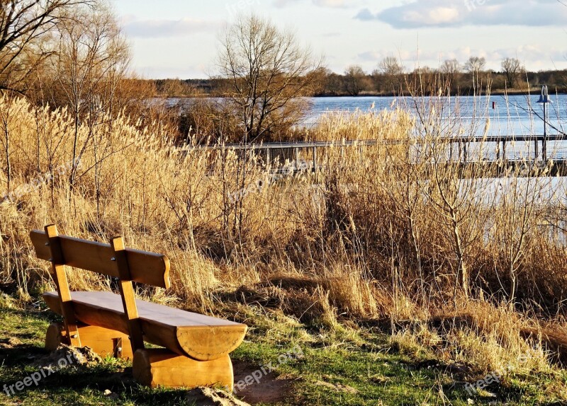 Nature Elbe River River Landscape Natural