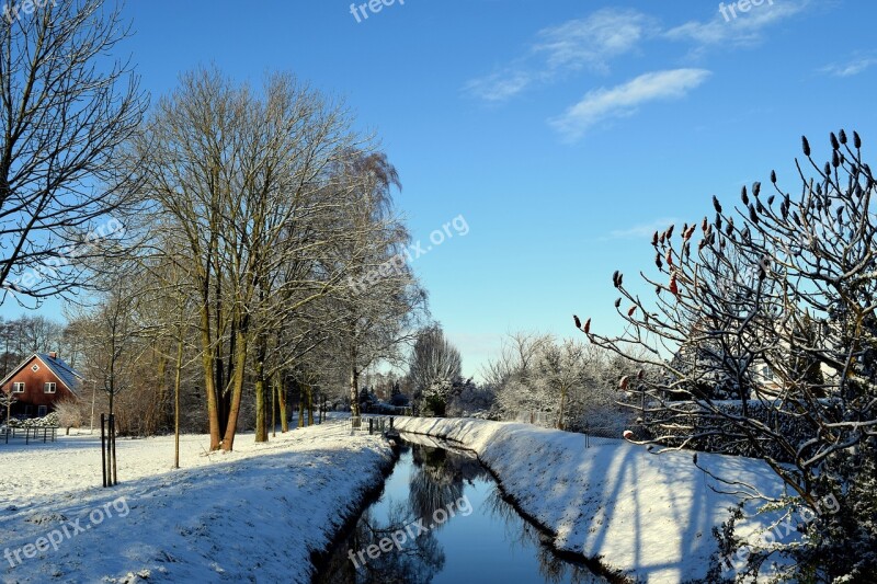 Winter Bach Tree Wintry Snow