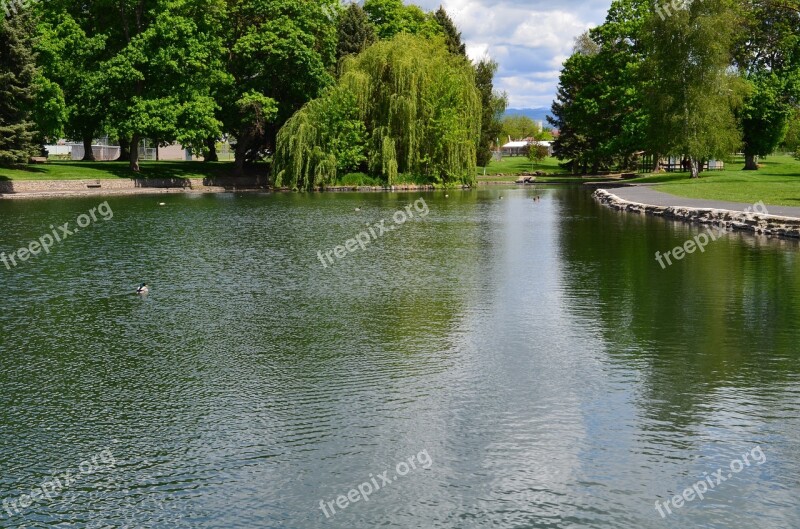 Pioneer Park Park Pond Ducks Water