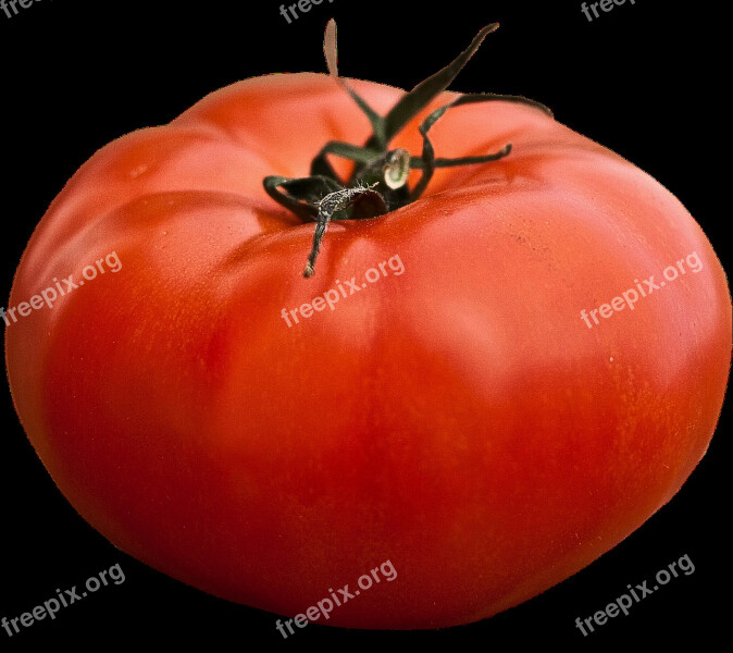 Isolated Beefsteak Tomato Vegetables Food Garden