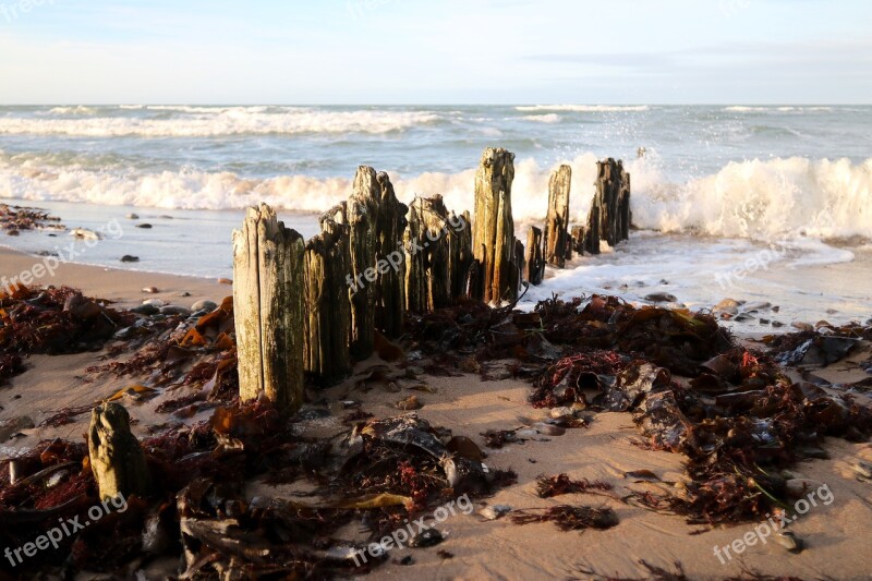 Coast Beach Wave Sea Ocean