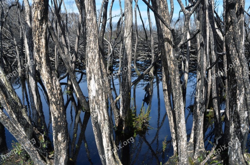 Lagoon Tasmania Water Australia Nature