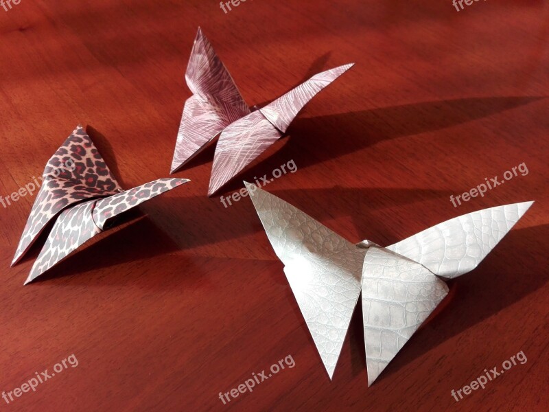 Butterfly Origami Map Japan Wood