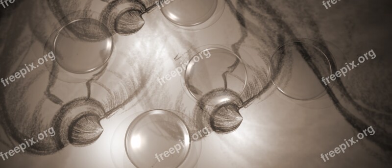 Lenses Glass Optics Transparent Figure