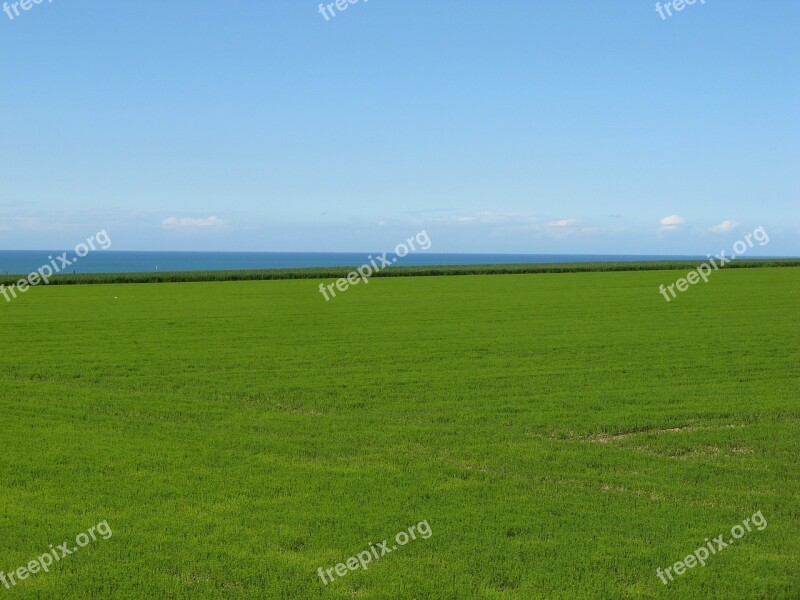 Landscape Sea Normandy Spineless-les-roses Free Photos