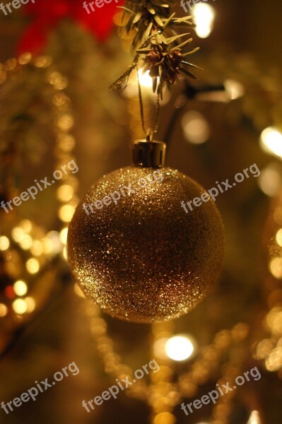 Christmas Tree Bauble Holidays Free Photos