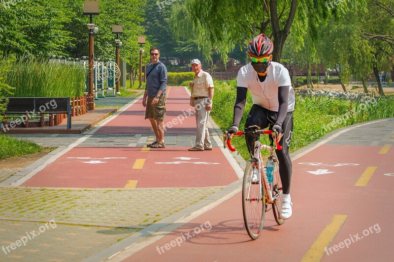 Cyclist City Park South Korea Seoul Vacation