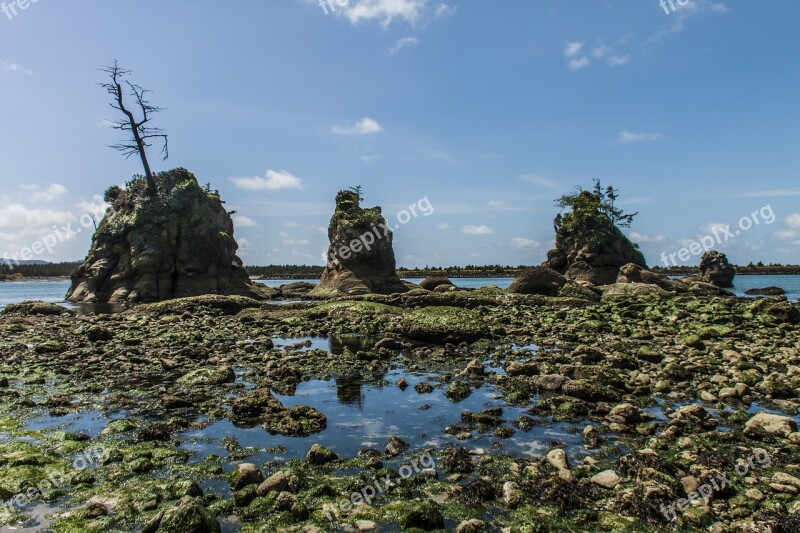 Tidepools Oregon Pacific Tillamook Garibaldi