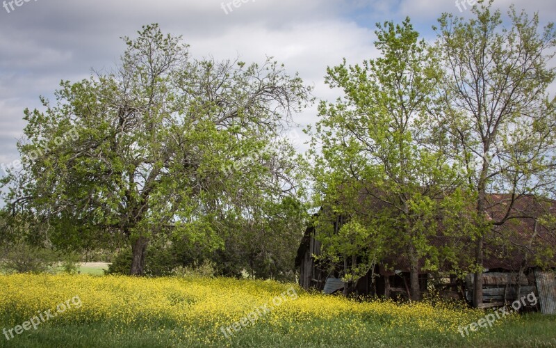 Barns Spring Landscape Nature Rural