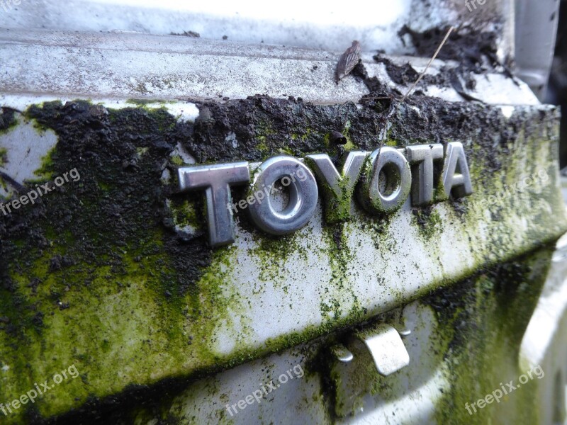 Toyota Discarded Expiration Moss Free Photos