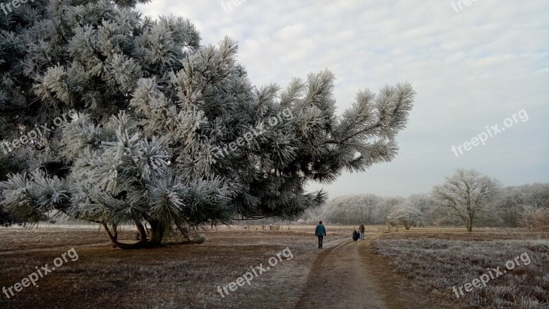 Winter Landscape Ripe Heide Free Photos