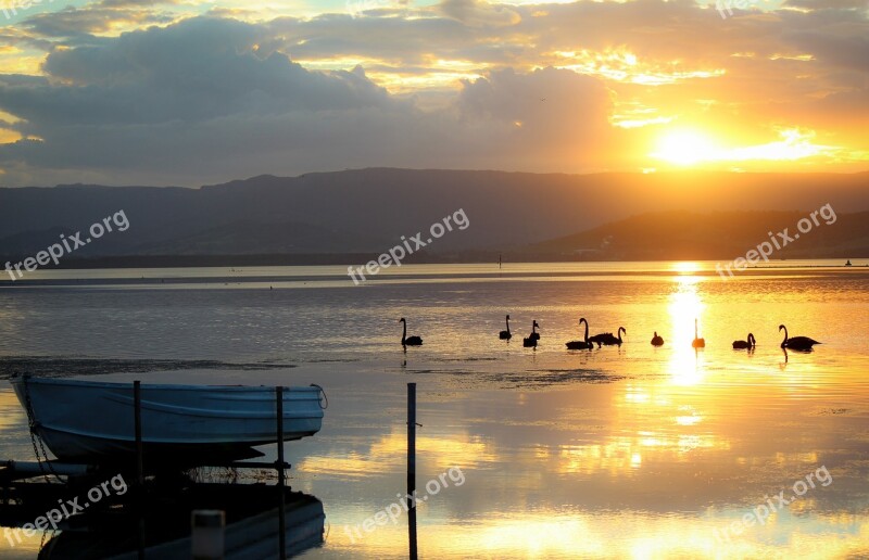 Boat Lakeillawarra Swan Sunset Relax