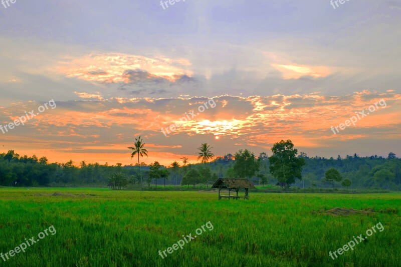 Indonesia Lampung Landscape Sunset Fields