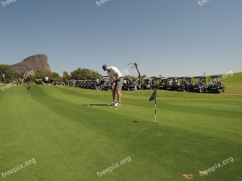 Golf Golfing Practicing Putting Practice