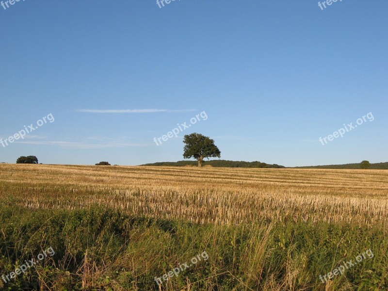 Landscape Burgundy Nièvre France Free Photos