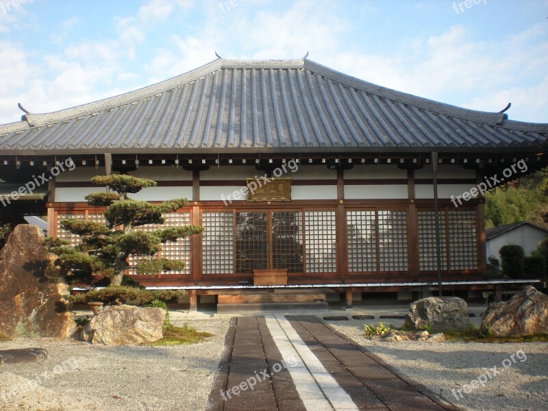 Kyoto Japan Temple Bonsai Zen