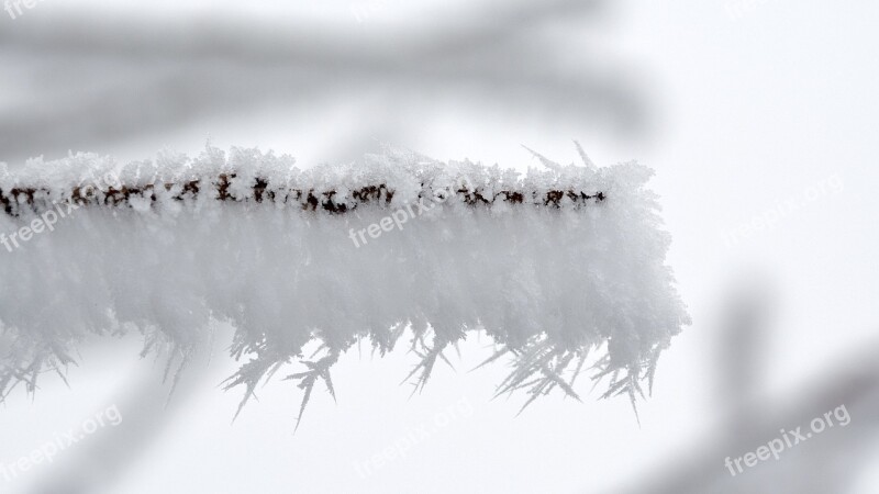 Eiskristalle Winter Fence Hoarfrost Frozen