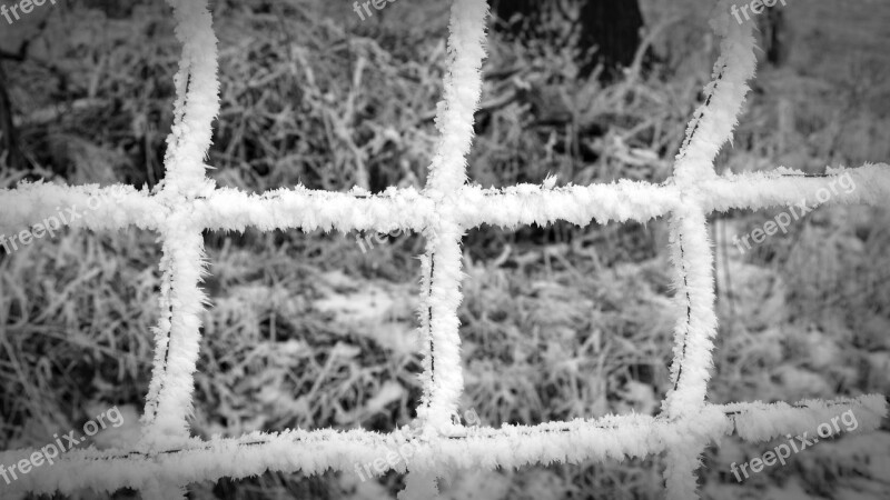 Winter Fence Hoarfrost Frozen Ice