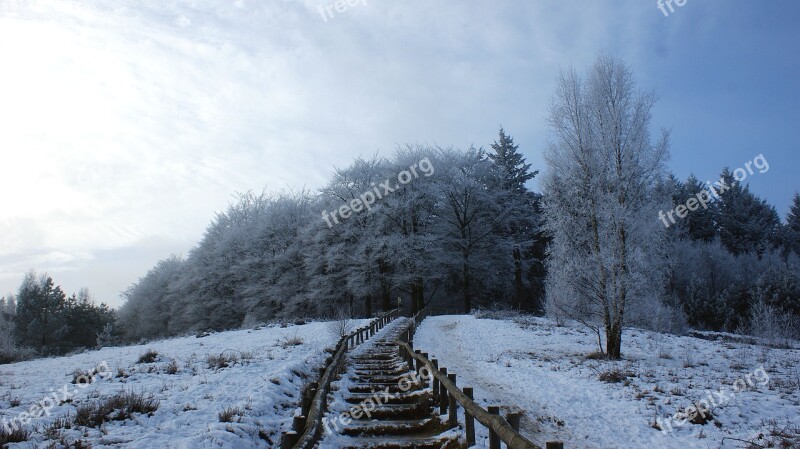 Forest Trees Snow Landscape Walking Path Trap