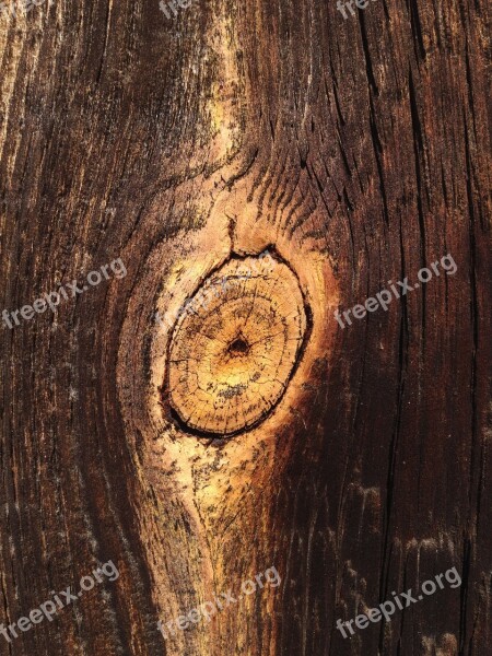 Wood Board Wooden Planks Texture Boards