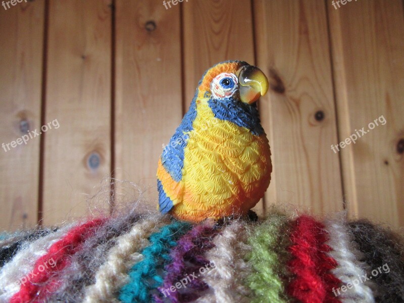 Bird Rainbow Bird Rainbow Colors Colored